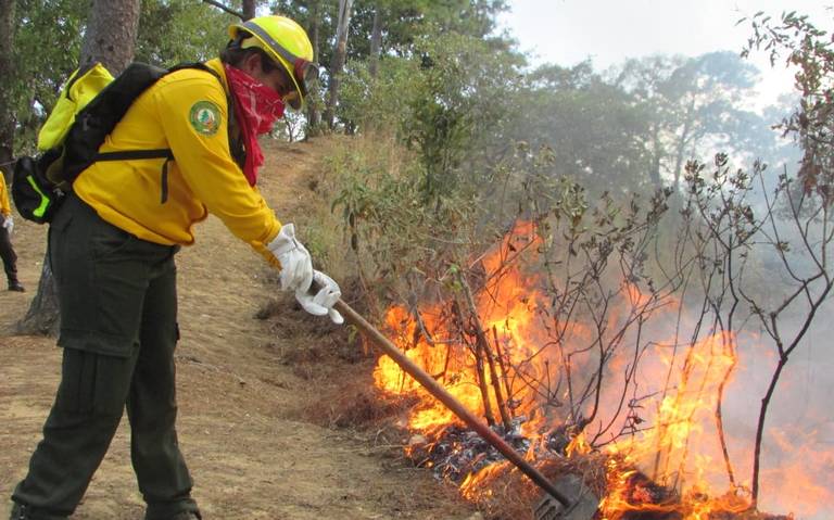 37 incendios en las últimas horas en Chiapas