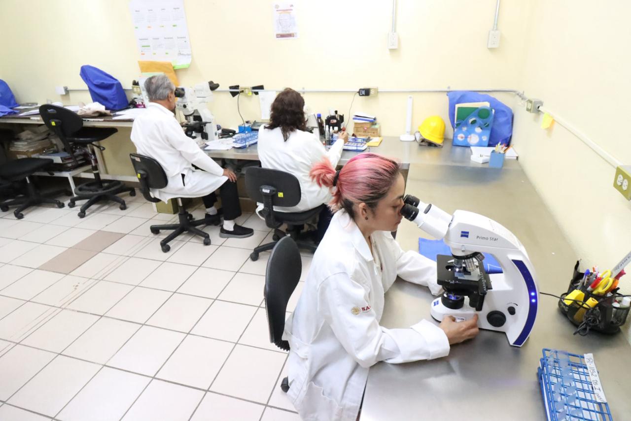 Chiapas, 15 años en 1er lugar por excelente desempeño del Laboratorio de Salud Pública