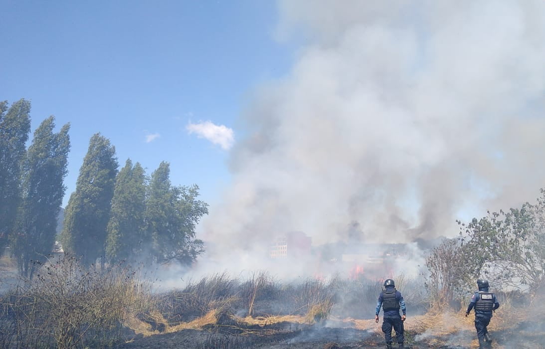 Logran sofocar incendio de pastizal al sur de SCLC