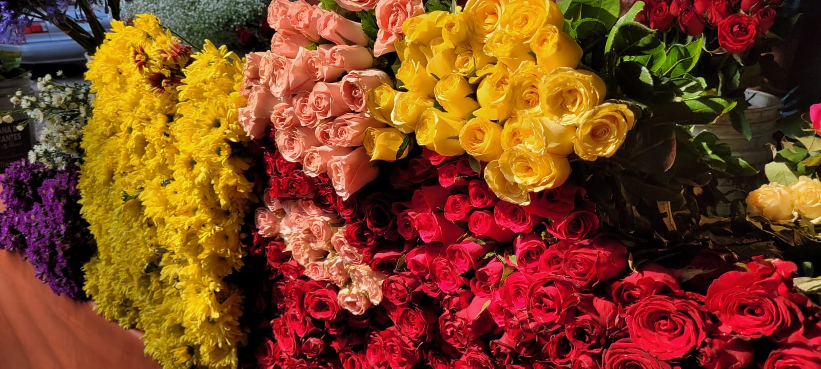 Esperan repunte en venta de flores por 10 de mayo 