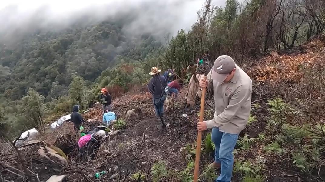 Gran inicio de campaña de reforestación en SCLC