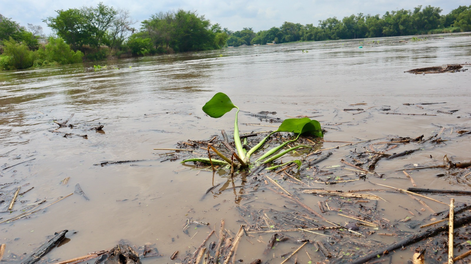 Lluvias podrían afectar el servicio de agua potable