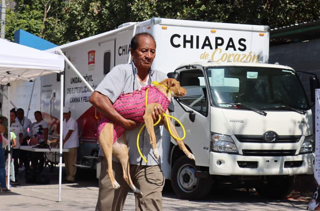 Anuncia Secretaría de Salud Campañas de Vacunación y de Esterilización Canina y Felina en SCLC