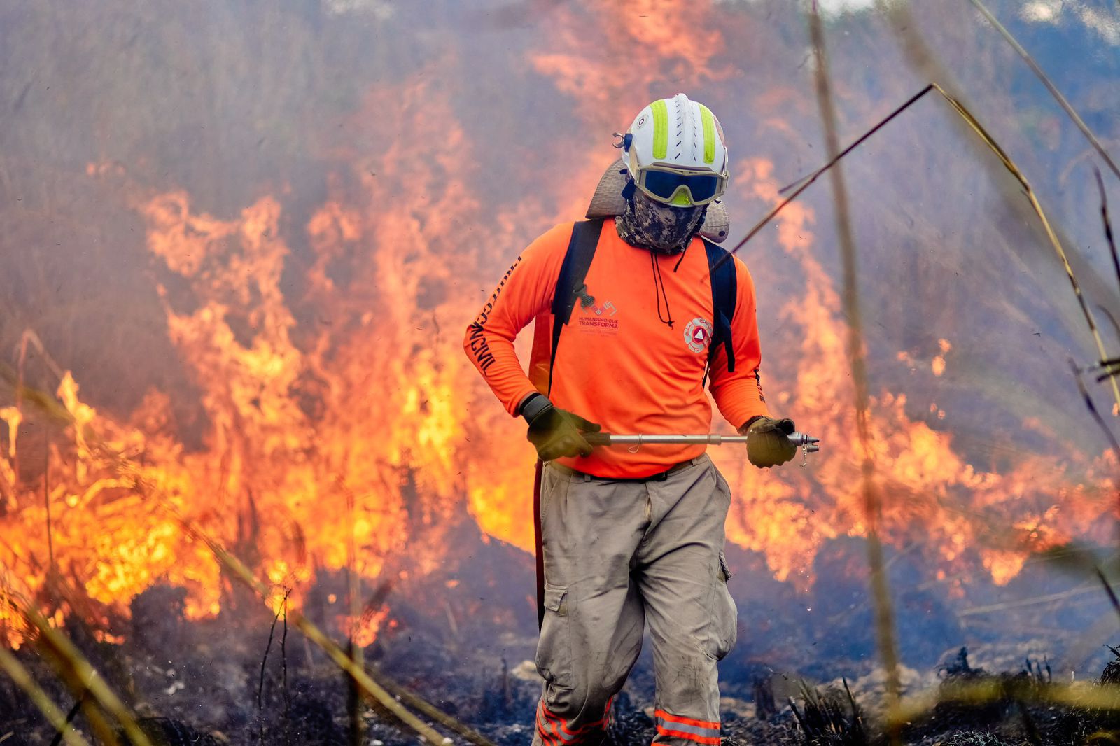 Registra Chiapas disminución de 96.19 % de incendios forestales, en comparación con 2024