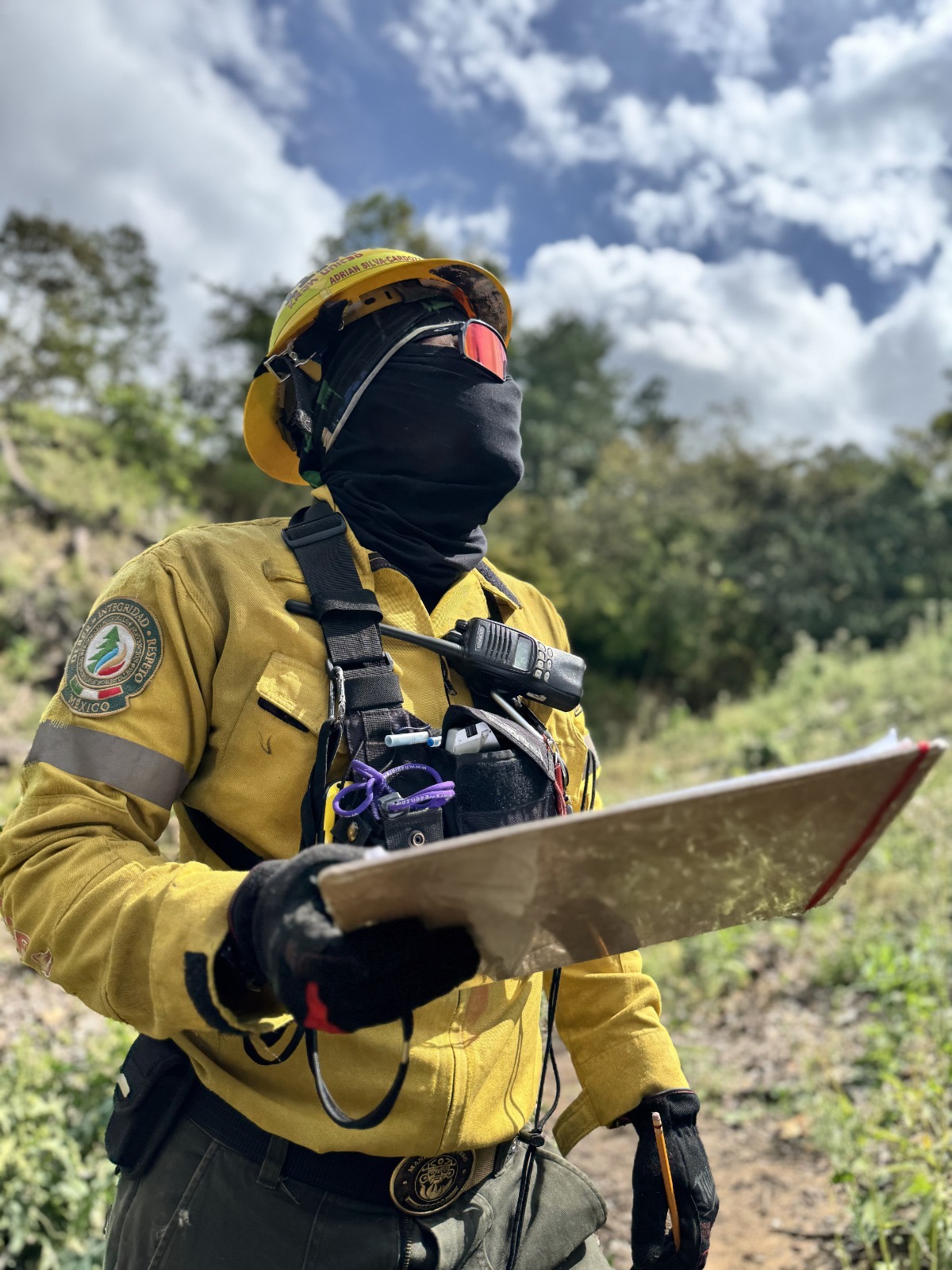 A través del sistema de comando de incidentes se realiza quema prescita en el ejido california en la reserva de la biosfera la sepultura